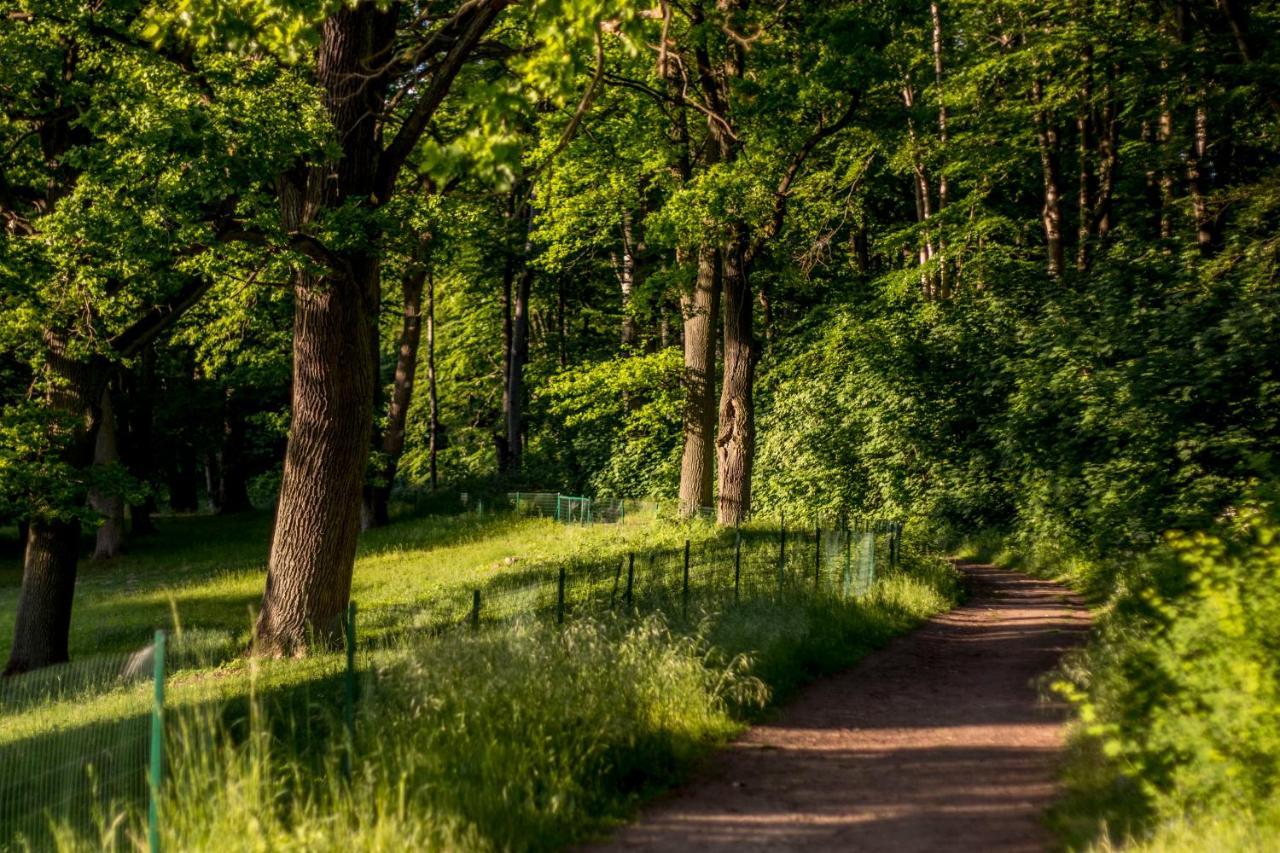 Palac Wąsowo Buitenkant foto